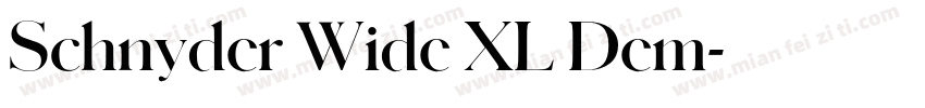 Schnyder Wide XL Dem字体转换